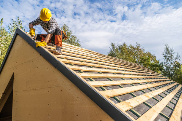 Best Roof Maintenance Services  in Eagle, NE